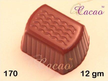 Chocolate Mold (170)
