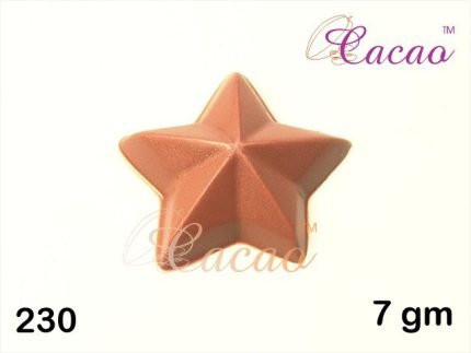 Chocolate Mold (230)