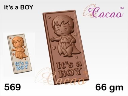 Chocolate Molds (569)