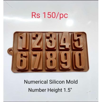 Numerical Silicon