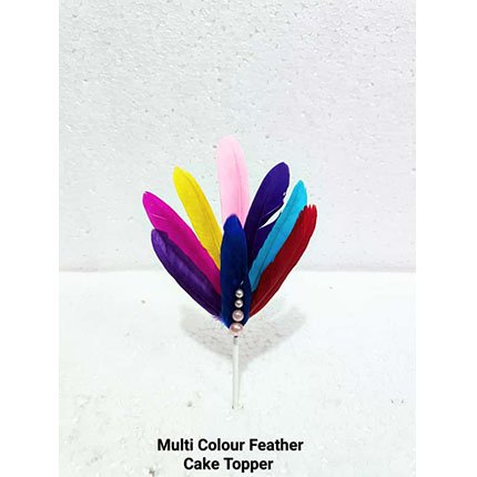 Multi Colour Feather Cake Topper